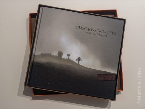 Silencios singulares (del paisaje a la imagen)