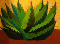 El Maguey