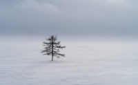 Rusia, Siberia, Yamalia- Nenetsia
