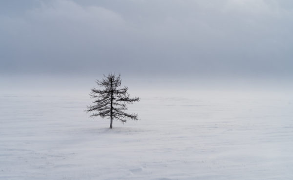 Rusia, Siberia, Yamalia- Nenetsia